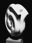 Immagine 59.jpg (19kb)